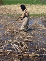 Primitive Fishing with Horse Hair and a Bamboo Rod - Catching Fish with a  Stick 