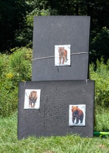 Lion, Tiger & Bear